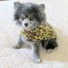 Fleece Coat with Chic Button and Loop for Little Dogs - Chihuahua and  Toy Poodle Size