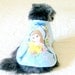 Little Canine's Winter Coat Made to Order - Multicolored Pastel "Princess Bouquet" Print with Baby Blue Background
