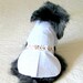 Small Dog Dress Pomeranian - White Cotton with Fine Check, Box Pleat, Ribbon and Bow - Great for Cat, Too