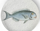 Sea Life Fish I - 1800s fish artwork - 10 inch Melamine Plate