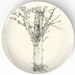 Tree from a master - 10 inch Melamine Plate 10 inch Melamine Plate with a softly aged off-white background