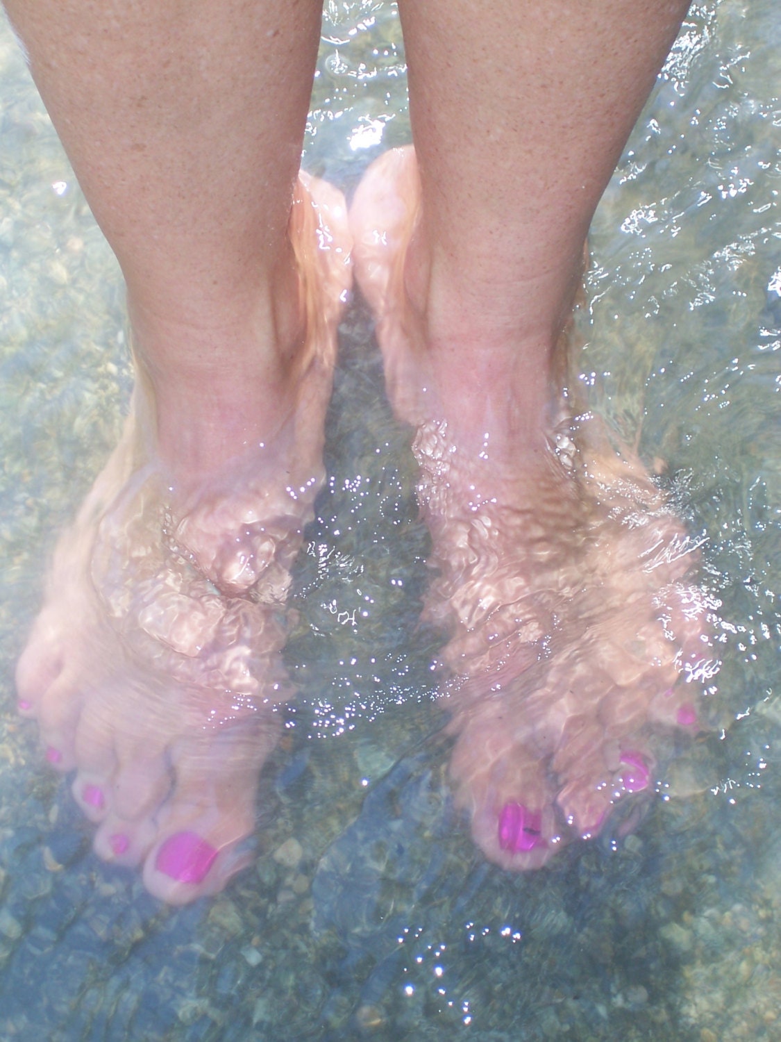 Photo Greeting Cards - (4) Summer Series
