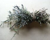 1/2 Ounce Dried Homegrown Lavender
