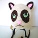 Sad Cat earflap hat