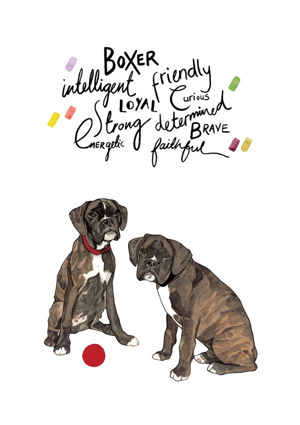 Boxer Dog Character Portrait - Double Layer Print