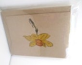 Daffodil Jotter Journals - (set of 3 mini journals)