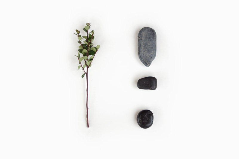 Rocks and Leaves Photo, Minimalist Decor, Nature Still Life, Green, White, Gray, Black, Color 10x8" Fine Art Wall Print - MySweetReveries