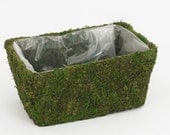 Moss Planter Basket - Great for Succulents Wedding Centerpieces