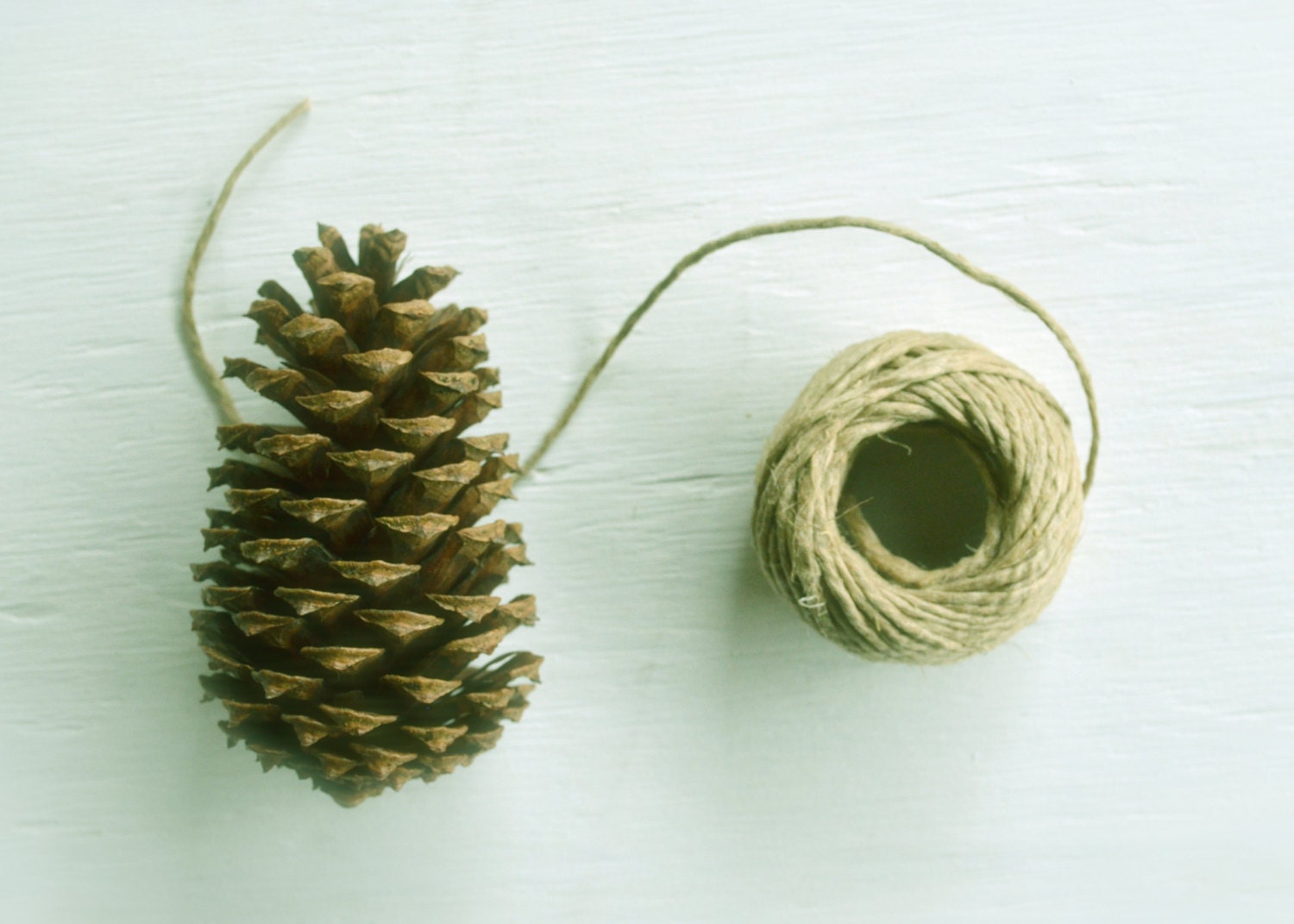 Still Life Photo - Rustic - 5x7 Photography Print, Craft, Neutral, Beige, Pinecone, Tree, Nature, Twine