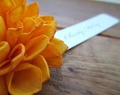 20 Orange Place Cards, Wooden Orange Place Cards, Rustic Wedding, Fall Place Cards