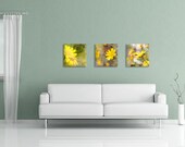 Set of 3, yellow daisies, 12"x12", 30x30 cm, free shipping