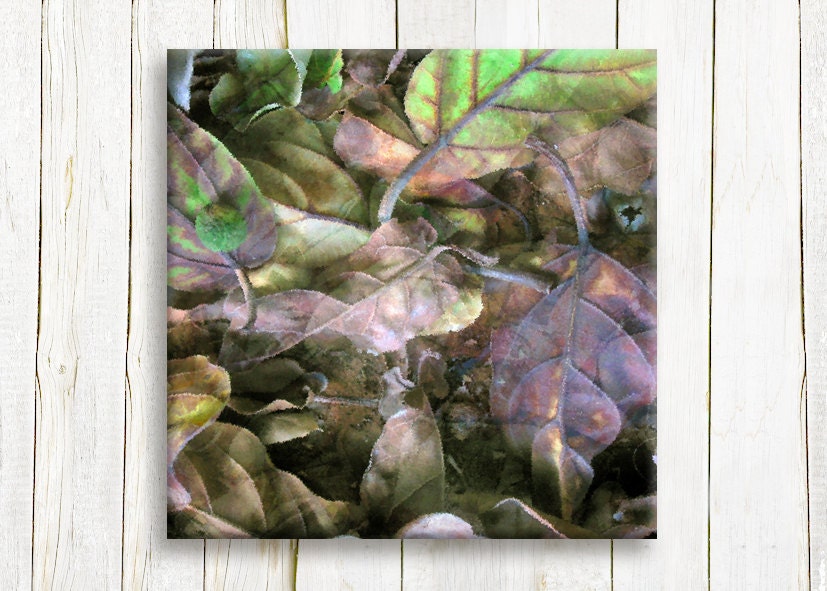 Nature art, print on canvas, 12"/12" , ready to hang, free shipping