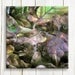 Nature art, print on canvas, 12"/12" , ready to hang, free shipping