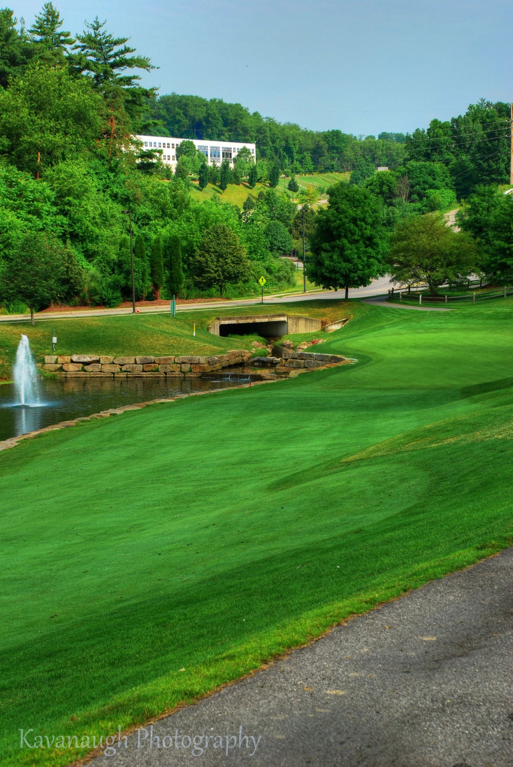 Golf Course Photograph