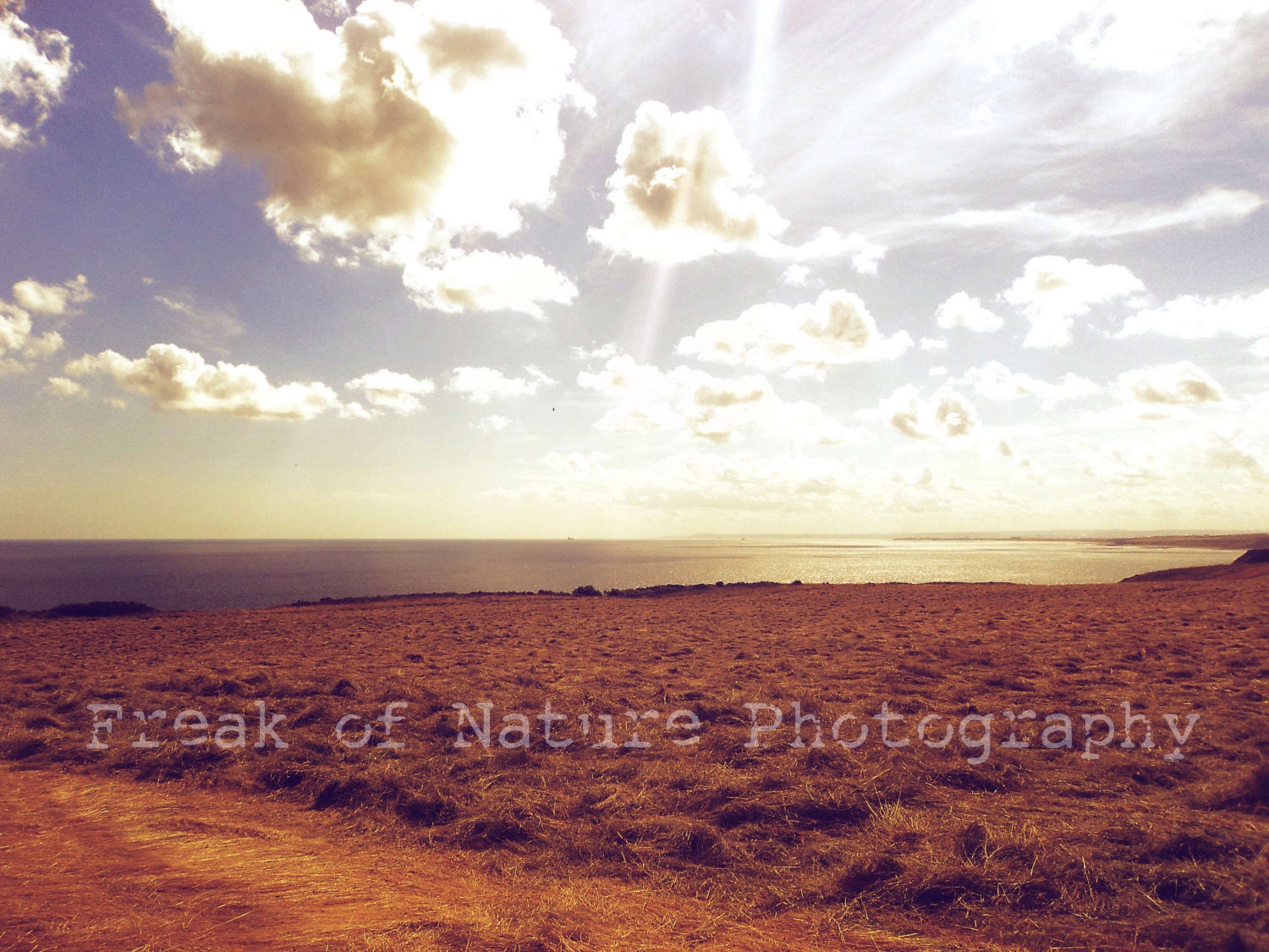 Fine Art Landscape Photography Skyscape Waterscape Clouds Sky Blue Purple Red Grass Autumn Spring Summer Decor 11x17" Printed to Order