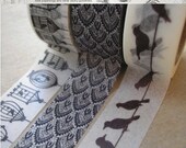 BIRD CAGE & FEATHER Trio Washi Tape Set - Decorative Pattern Masking Tape - 15mm x 10m each