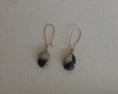 Pure Planet Earrings