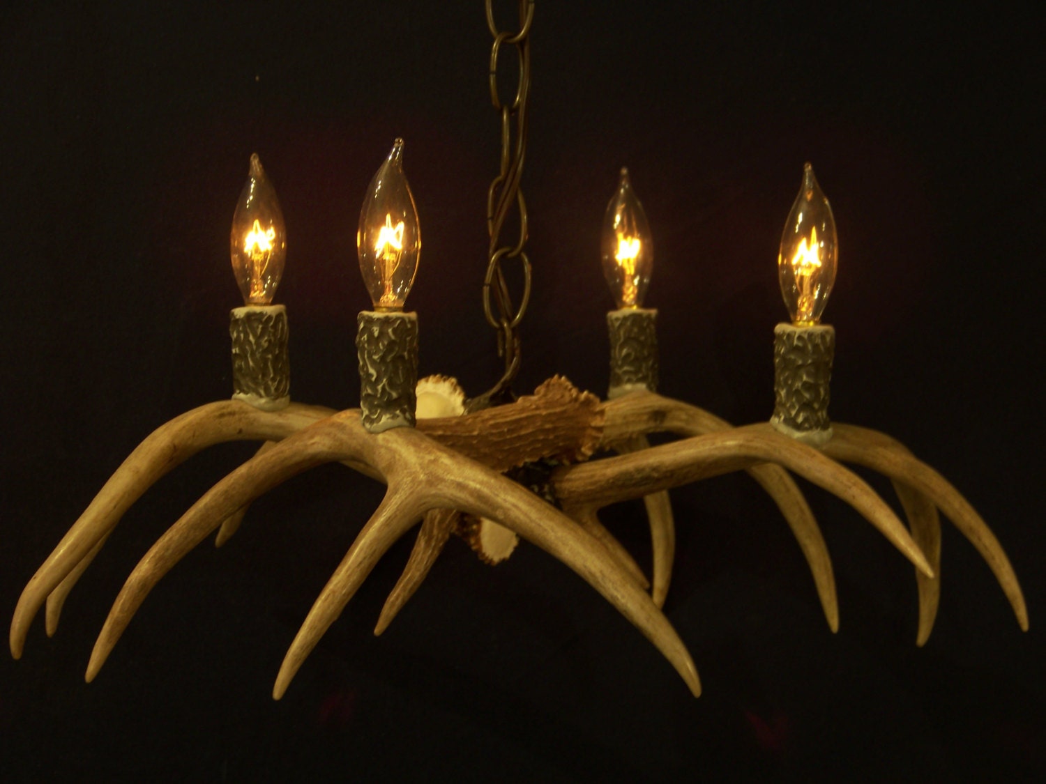 Legend Antler Designs "Four light Inverted Style" Shed Whitetail Deer Antler chandelier