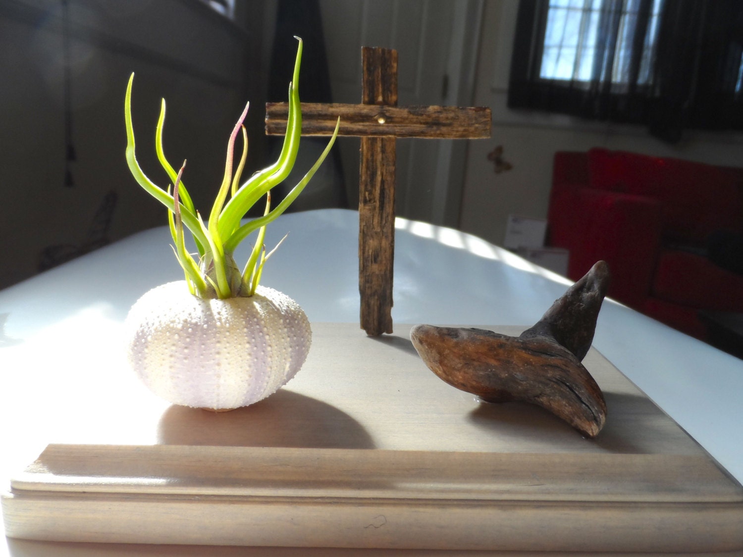 Spring is here, christian inspired airplant terrarium, baptism gift, holy communion