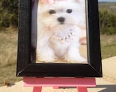 Custom Pet Portrait on Mini Canvas with Frame and Mini Easel, Pet Art, Pet Photo, Personalized Photo Canvas,