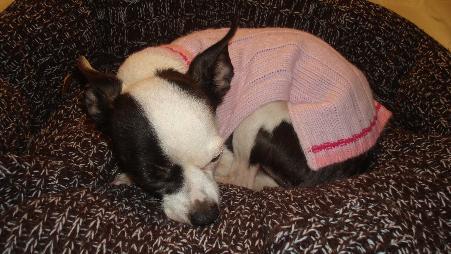 Upcycled Dog Bed - or Cat Pillow - Pet - Animal Friend Bed