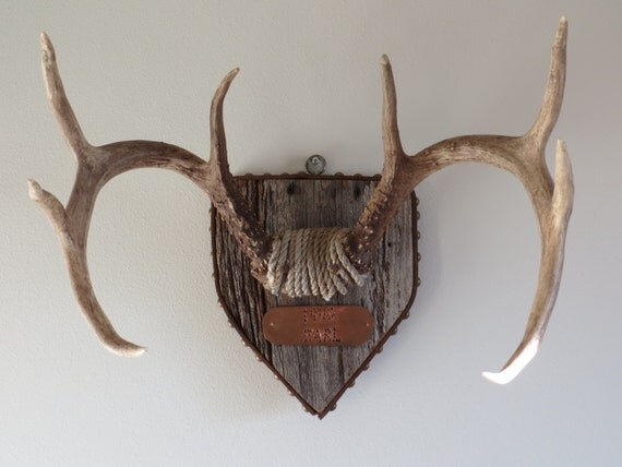 Vintage White Tail Deer Antler Mount By Mancavevintagemarket