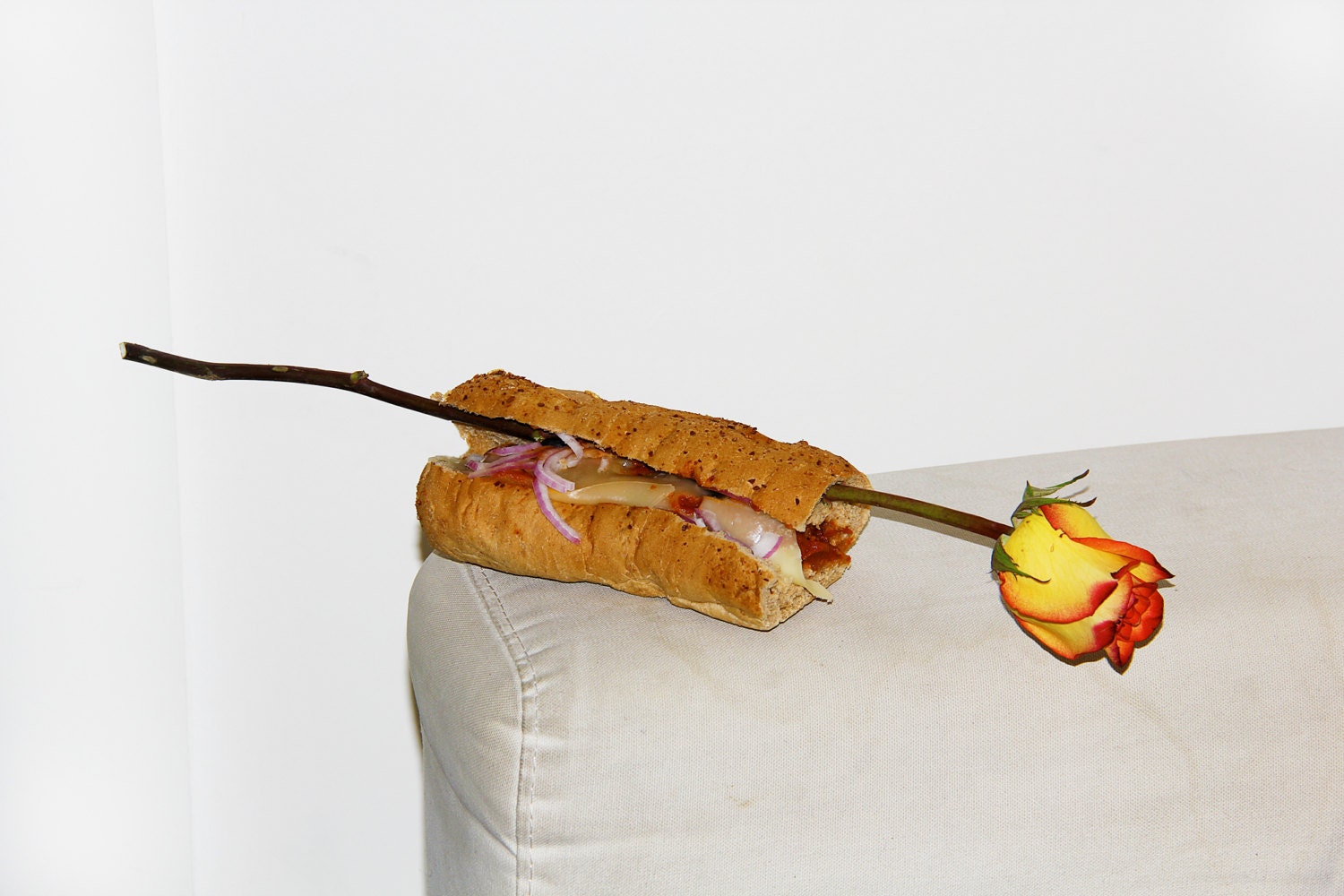 sensual ROSE with mildly customizable 6 inch Subway MEATBALL with red onions, black olives, and swiss cheese (Show them you love) Have silly