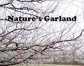 Nature's Garland - 4x6 Photo Print
