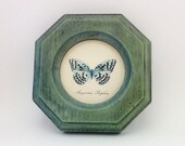 On Sale Aqua Butterfly Print , Aqua Framed Butterfly , Teal Butterfly Decor , Teal Nature Hanging, Aqua Botanical