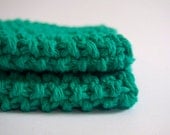 hand knit plushy cotton washcloth in minty sea green