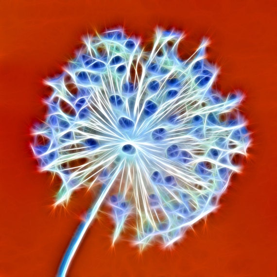 Acid Allium - different versions available - 5" x 5" - nature, surreal abstract flower fractal art - digital painting - prints posters