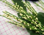 Millinery Pep Spray Pale Yellow Berries for Crafts, Hats, Bouquets, Wreaths - APinkSwan