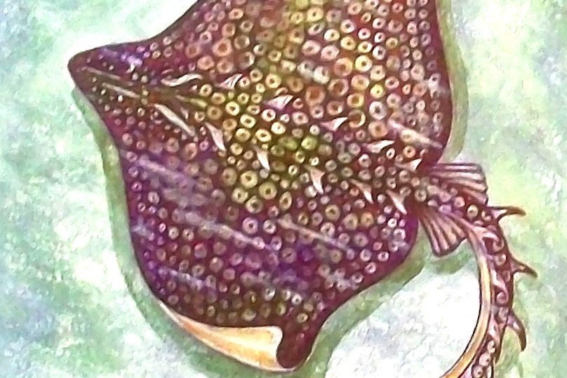 Animal Messages Brief Oracle Reading  Spirit Guides - New Age - Metaphysical  Animals - Birds - Guidance - Insights