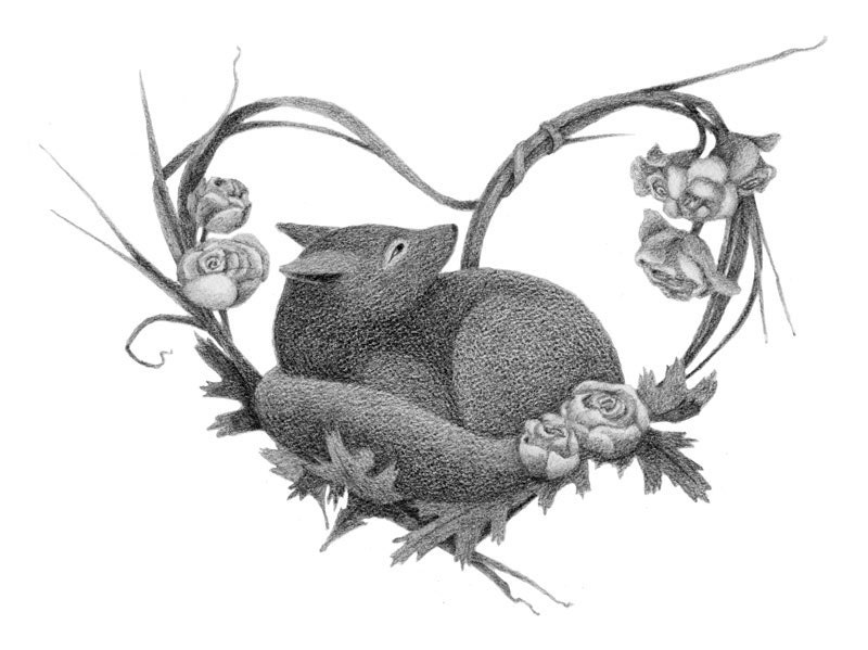 Fox with Woven Roses - 5x7 print - Valentine heart