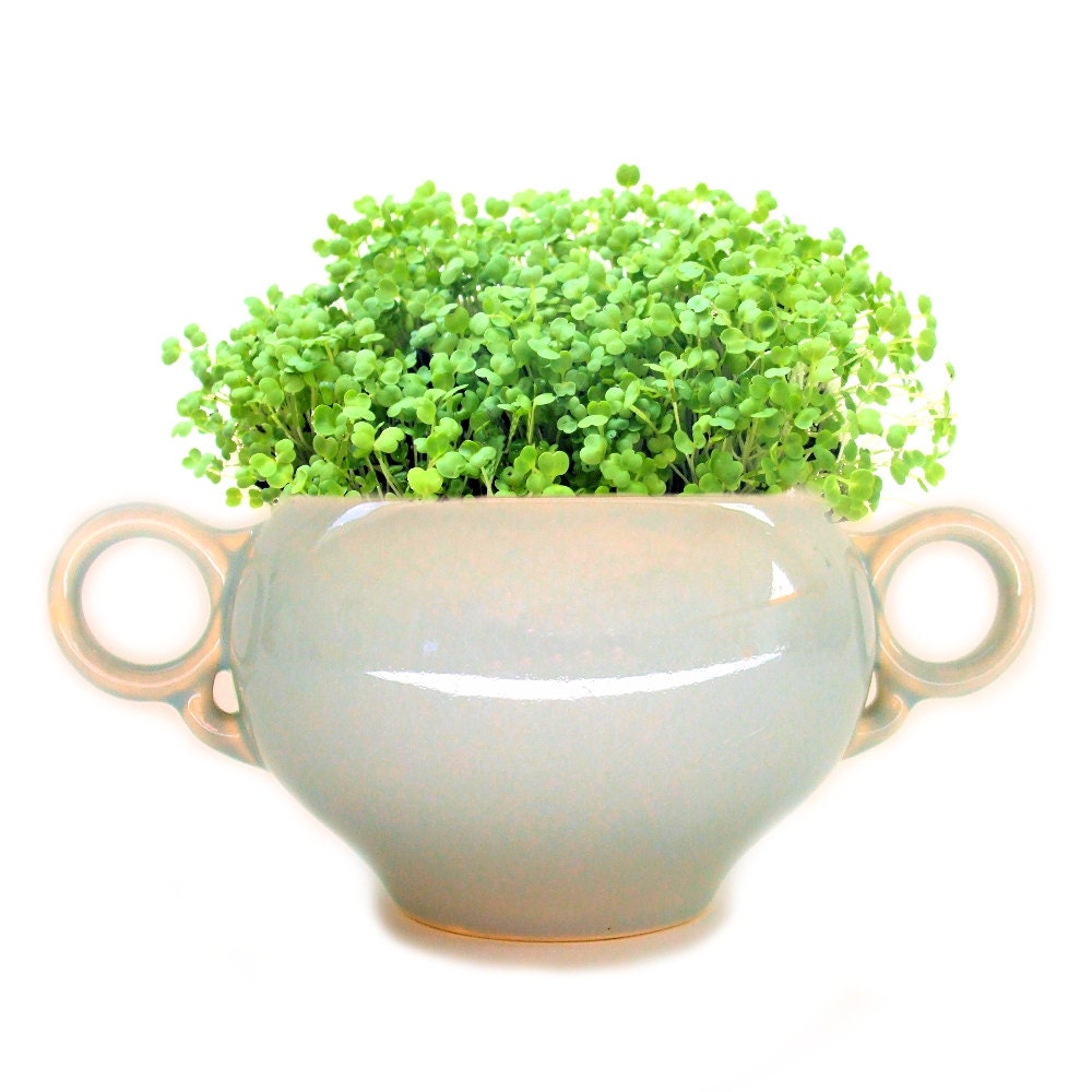 DIY Microgreens in Dove Gray Vintage Sugar Bowl - Planter & Seeds Kit - Universal Potteries Ballerina Pattern Midcentury Modern