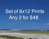2 Custom Photography Prints in Nature, Baby Animals, Flowers, Landscape, Abstract Patterns (8x12) for Nursery, Home Decor or Gift