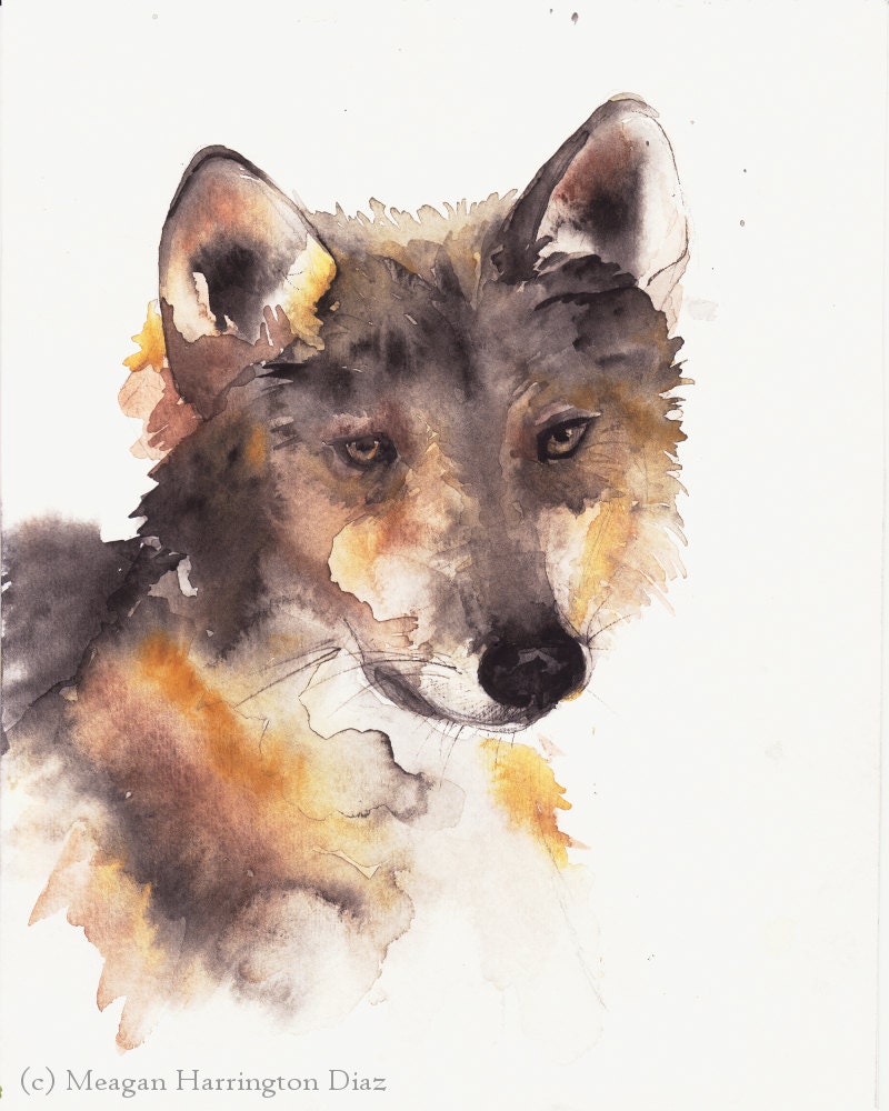 Wolf Art - Mexican Gray Wolf - 11x14 Fine Art Print Dog Art Wolf Desert Art Southwest - DustyShamrockStudio