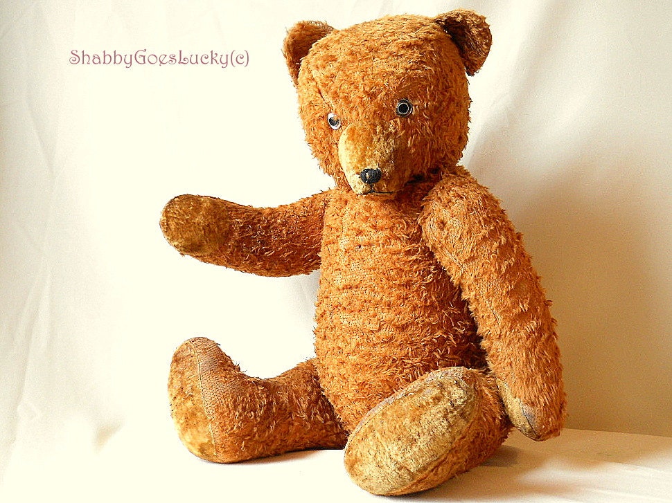 german teddy