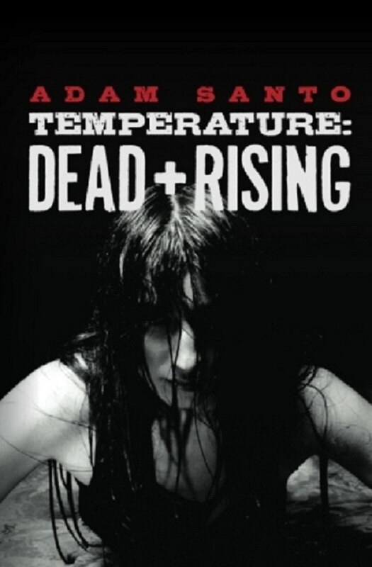 Temperature: Dead and Rising (Book 1 of the Temperature Trilogy) paperback
