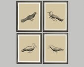 Birds Wall Art Set of 4 - print on Fine art watercolor paper 8x10 inch.