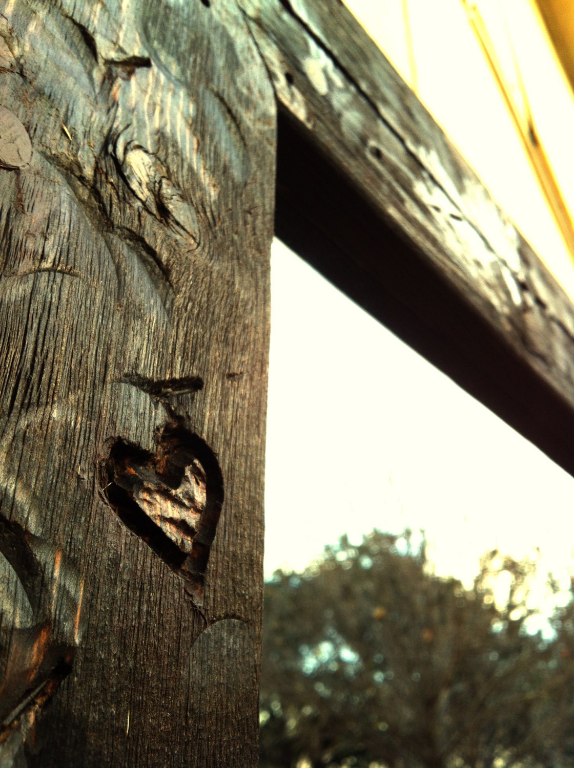 Hammered and Carved Wood Fence Mirror - Distressed, Reclaimed, Upcycled Cedar