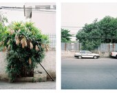 Bangkok Green City, 4x6 Color Prints 35 mm Film Photography Set of 6