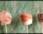 Easter marshmallow pops - choice sprinkles plain.coconut color pink yellow white black 1 dozen in box- perfect for parties