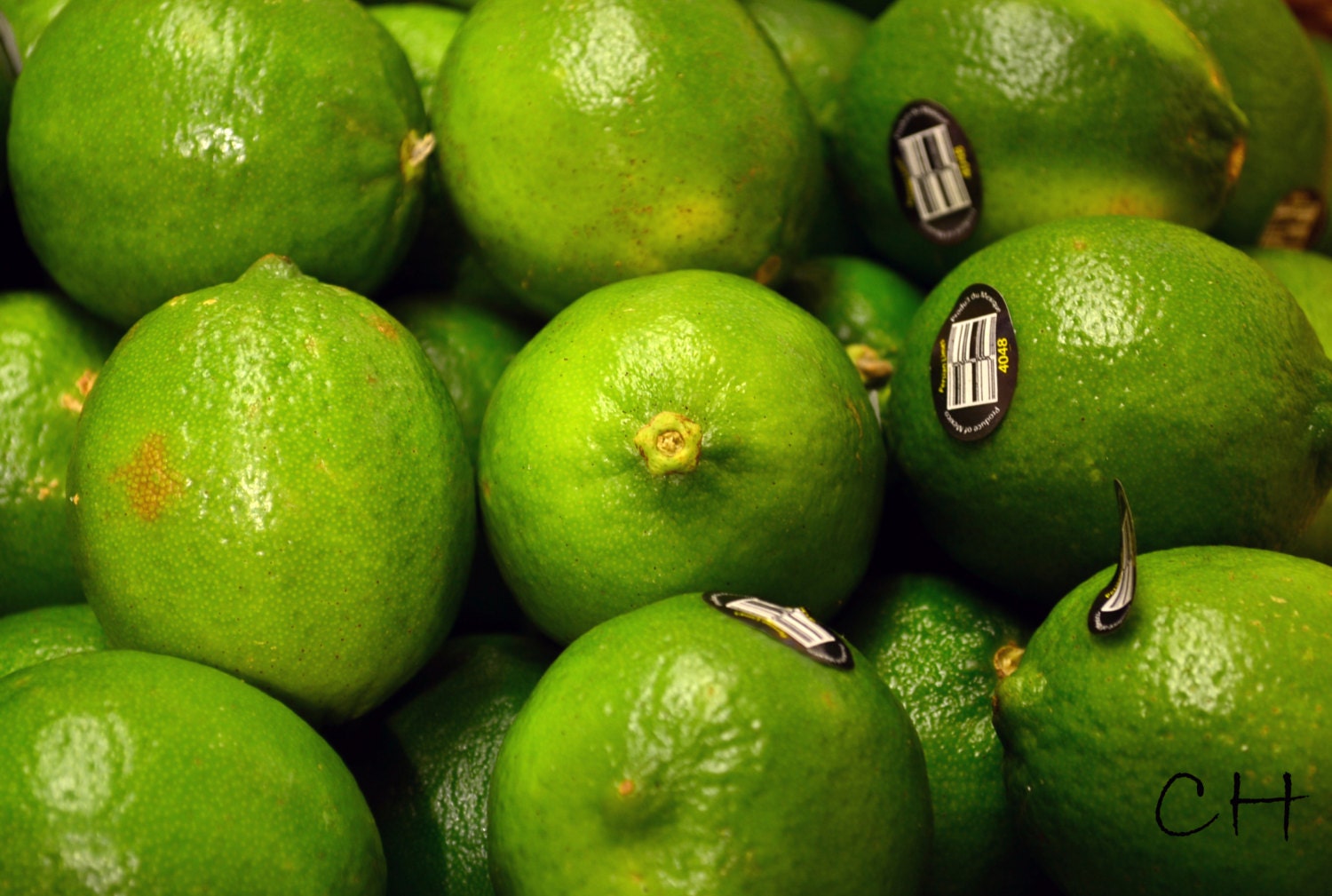 Food Art Photography Fruit Kitchen Limes Wall Decor Market Green 5x7