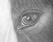 A5 Unique Hand Drawn Illustration Pet Portrait From Your Photo