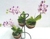 Lot 3 Chang Kra Elephant Artificial orchid clay flower dollhouse miniature on heart shape curved steel