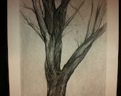 Nature graphite pencil drawing on paper of tree in winter landscape-Alla prima, Plein air