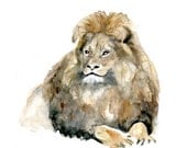 Original Watercolor Painting of a Lion King . Animal Painting. Lion Zen Drawing on paper and acid free cardboard by Michelle Dujardin