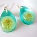 Teardrop Dandelion Earrings - Turquoise- Unique - Make A Wish Resin Seed Flower Botanical Magic  nature