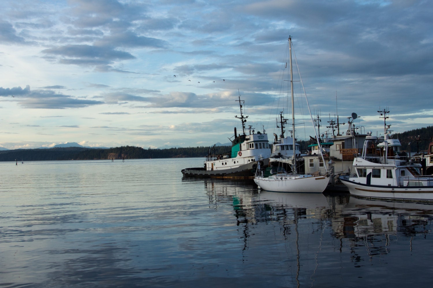 Fishing Boats, Vancouver, digital photograph, 16x24, water, clouds